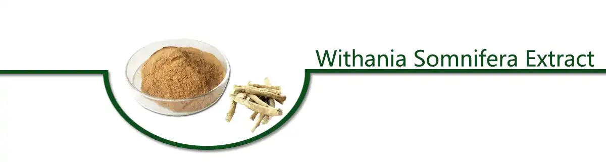 Withania Somnifera .jpg
